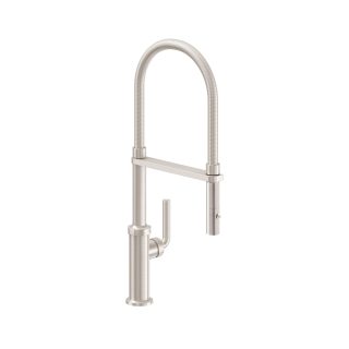 Descanso Culinary Pull-Out Kitchen Faucet with Button Sprayer