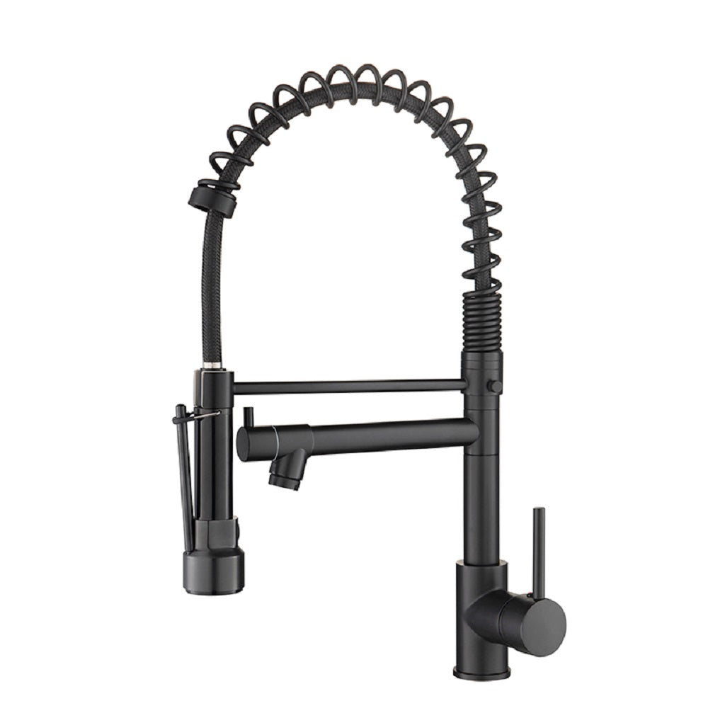 Single Handle Pull Down Sprayer Kitchen Faucet with 360° Rotation in Matte Black