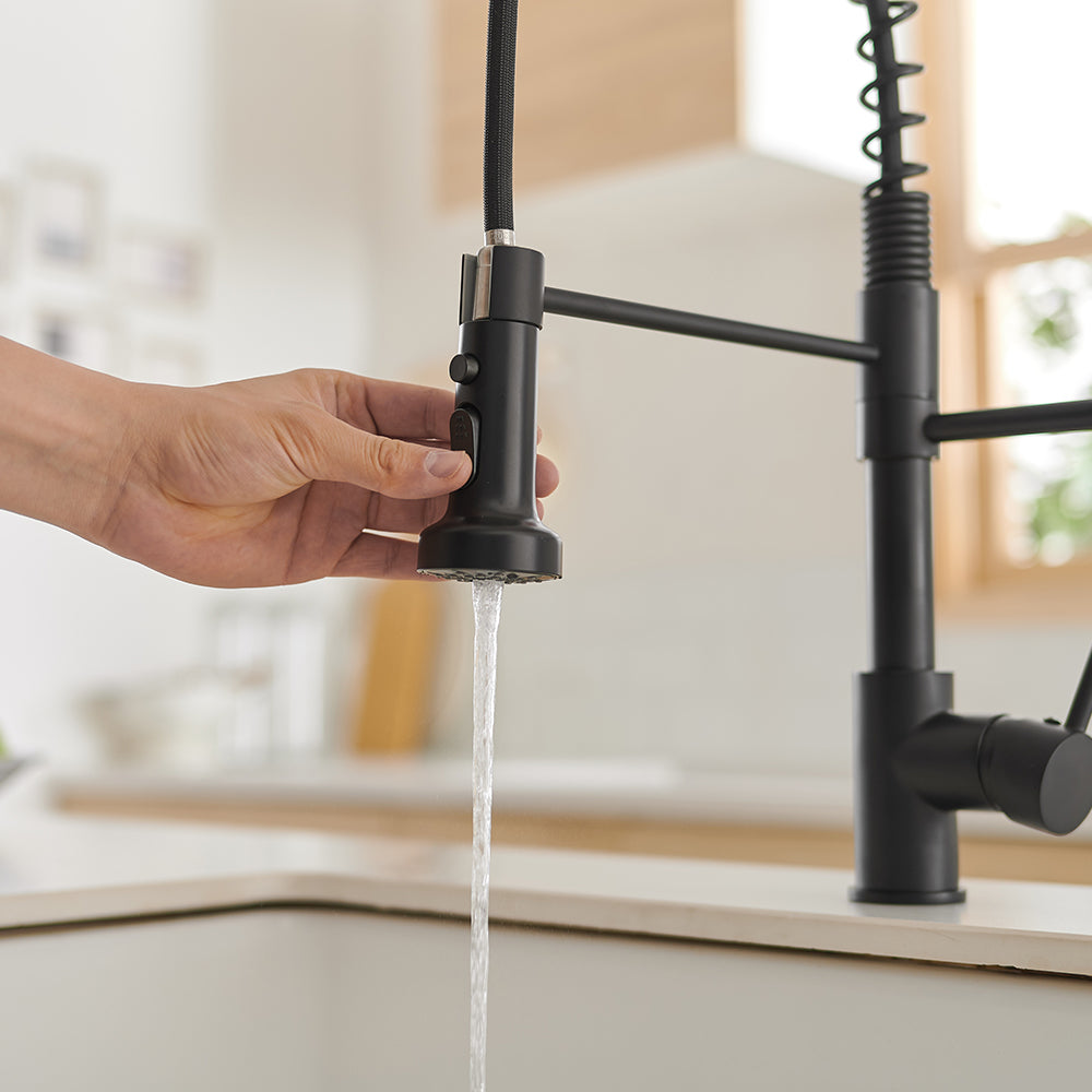 Single Handle Gooseneck Pull Down Sprayer Kitchen Faucet with Purified Water Faucet — thumbnail 3